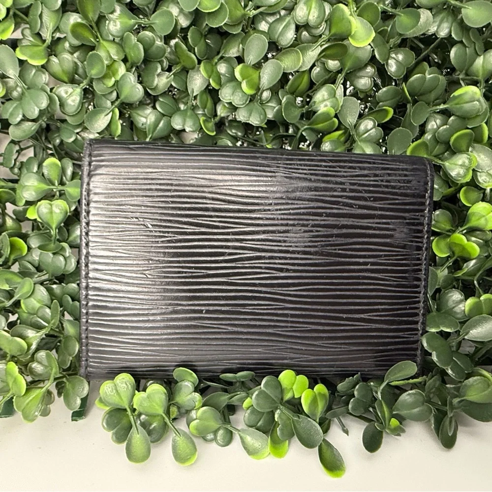 Louis Vuitton classic louis